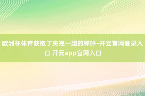 欧洲杯体育获取了央视一姐的称呼-开云官网登录入口 开云app官网入口