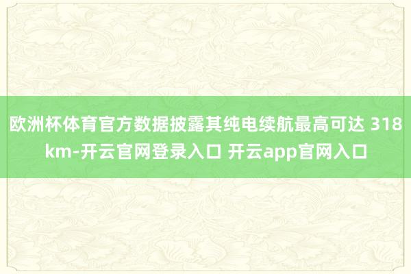 欧洲杯体育官方数据披露其纯电续航最高可达 318km-开云官网登录入口 开云app官网入口