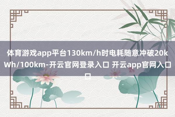 体育游戏app平台130km/h时电耗随意冲破20kWh/100km-开云官网登录入口 开云app官网入口