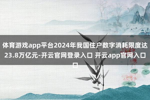 体育游戏app平台2024年我国住户数字消耗限度达23.8万亿元-开云官网登录入口 开云app官网入口