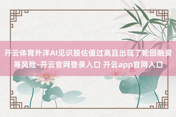 开云体育外洋AI见识股估值过高且出现了轮回融资等风险-开云官网登录入口 开云app官网入口