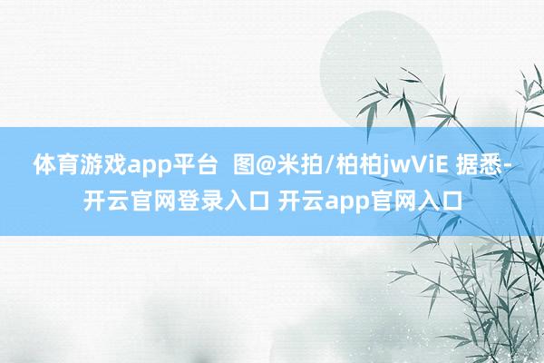 体育游戏app平台  图@米拍/柏柏jwViE 据悉-开云官网登录入口 开云app官网入口
