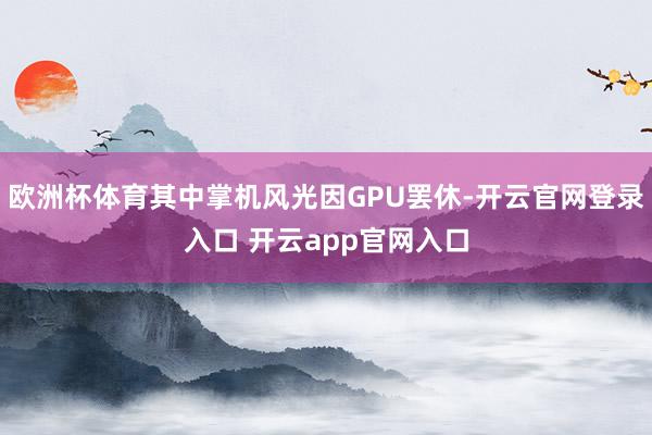欧洲杯体育其中掌机风光因GPU罢休-开云官网登录入口 开云app官网入口