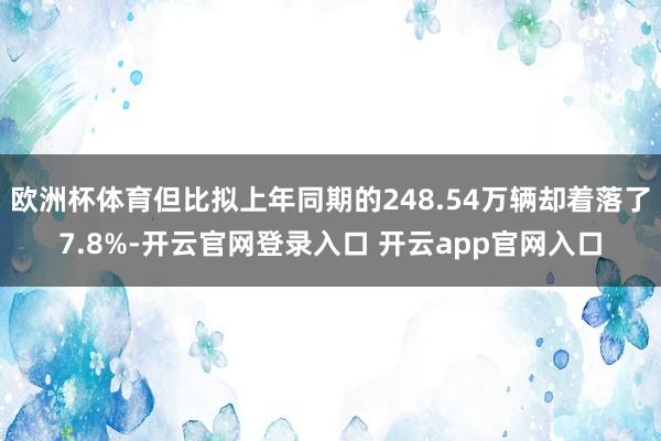 欧洲杯体育但比拟上年同期的248.54万辆却着落了7.8%-开云官网登录入口 开云app官网入口