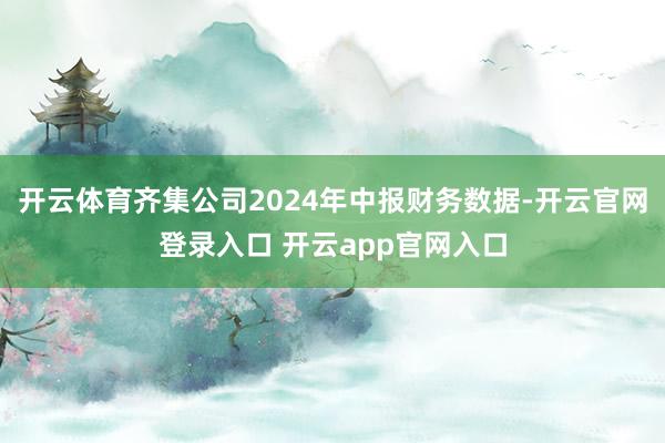 开云体育齐集公司2024年中报财务数据-开云官网登录入口 开云app官网入口