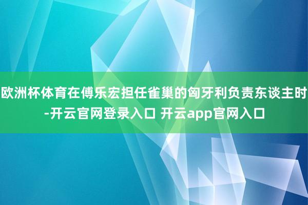 欧洲杯体育在傅乐宏担任雀巢的匈牙利负责东谈主时-开云官网登录入口 开云app官网入口