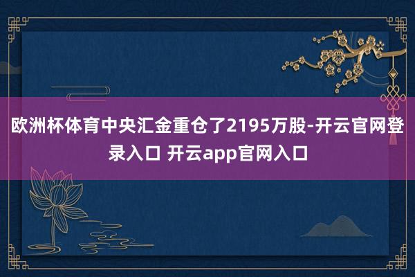 欧洲杯体育中央汇金重仓了2195万股-开云官网登录入口 开云app官网入口