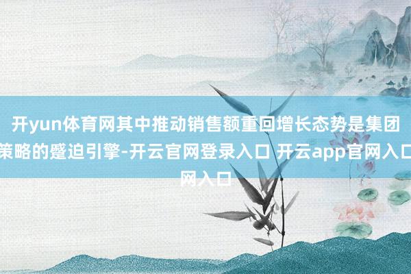 开yun体育网其中推动销售额重回增长态势是集团策略的蹙迫引擎-开云官网登录入口 开云app官网入口