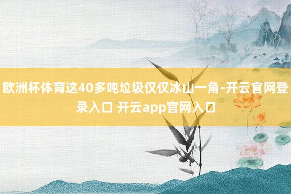 欧洲杯体育这40多吨垃圾仅仅冰山一角-开云官网登录入口 开云app官网入口