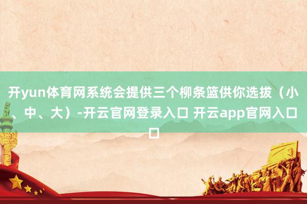 开yun体育网系统会提供三个柳条篮供你选拔（小、中、大）-开云官网登录入口 开云app官网入口